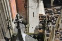 IMG_5942